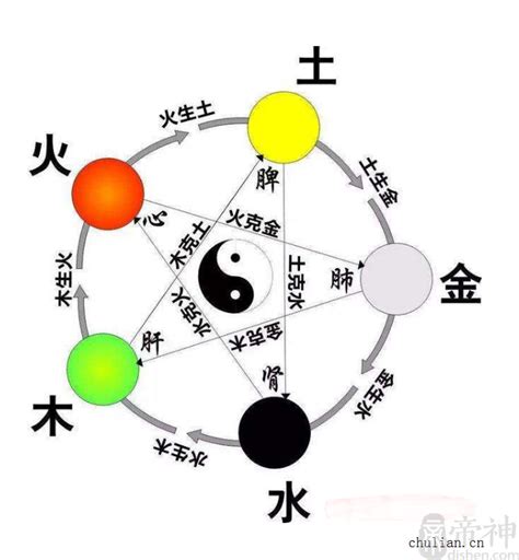 木 金|浅析五行中的金到底是什么？